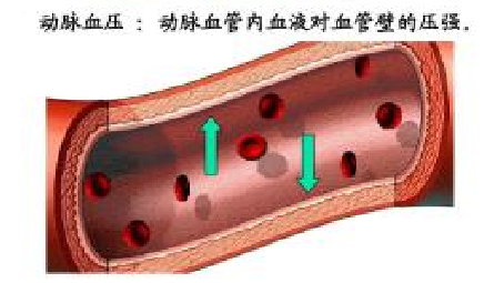 血壓？ 為什么需要做有創(chuàng)血壓監(jiān)測(cè)