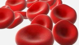 動(dòng)脈血都是紅色嗎？