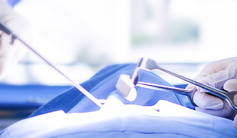 什么是透析用臨時血液靜脈導管？