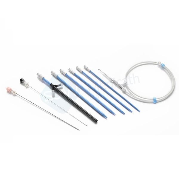 經(jīng)皮腎擴(kuò)張?zhí)准奶攸c有哪些