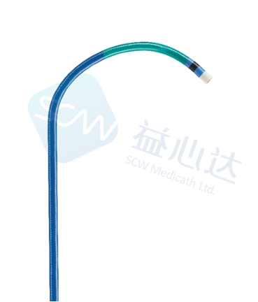 導(dǎo)引導(dǎo)管（指引導(dǎo)管）