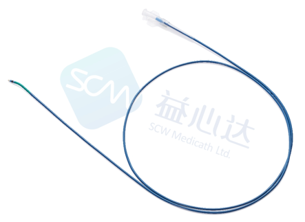 導(dǎo)引導(dǎo)管（指引導(dǎo)管）