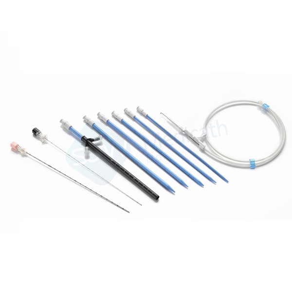 一次性使用無菌經(jīng)皮腎擴(kuò)張?zhí)准?